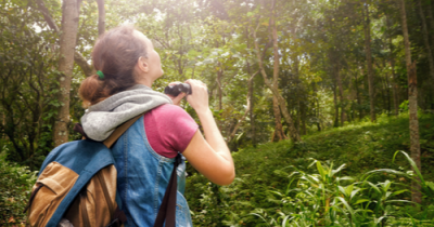 What’s on guide: January