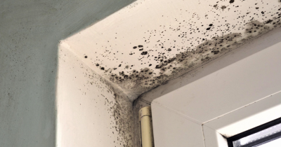 How do I deal with mould and damp in my rented property? 🔨🔦🧰