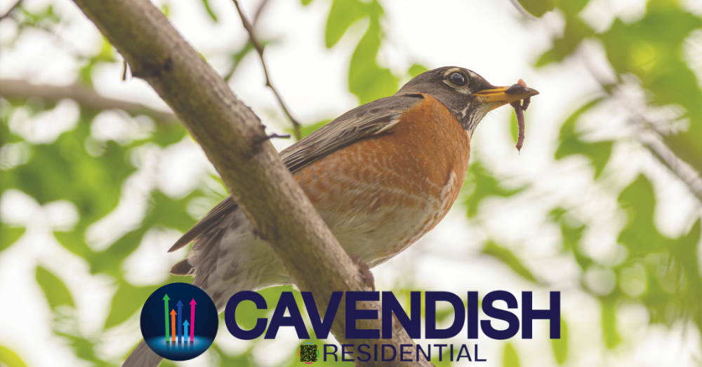 Sales market update: Autumn early birds spot window of opportunity π¦