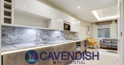 Rental Market: rents will continue to rise as we get into 2025, just at a slower rate🧘‍♂️