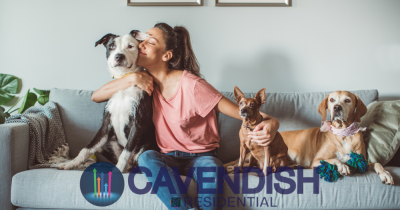 Pet insurance threat to Landlords following Rayner’s U-turn 🐶😺