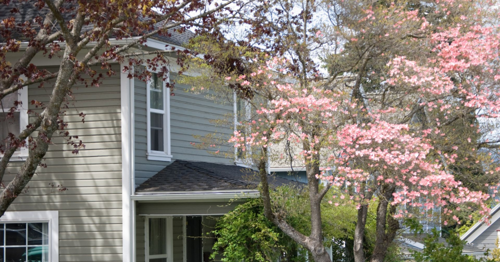 Top Tips to Find Your Perfect Home This Spring