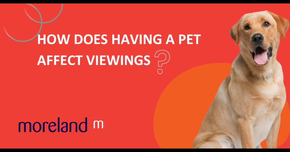 How Does Having a Pet Affect Viewings?