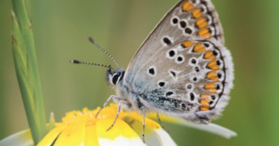 Check out our Spring Life magazine!