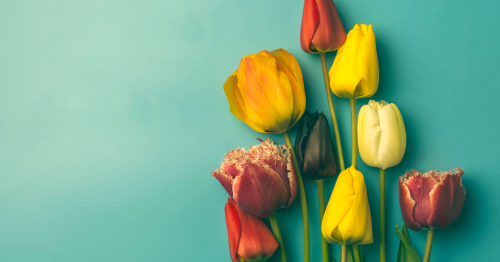 Navigating the Spring Property Market: Stability, Opportunity, and Expert Guidance