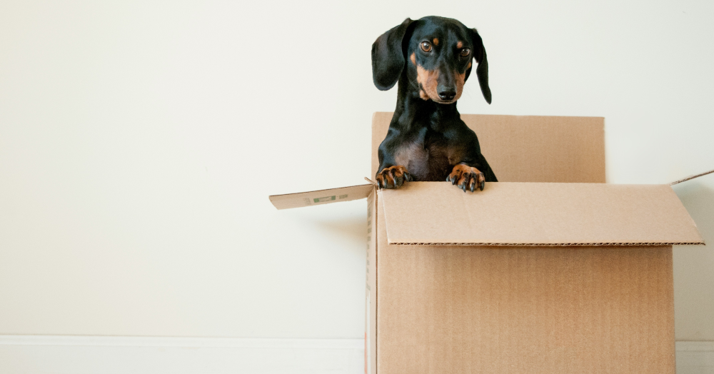 Ask the Agent:  Preparing for Your Move