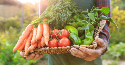 The best options to get fresh food delivered to your doorstep