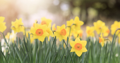 With Supply Low & Demand High – it’s a Great Time to Sell in Central London