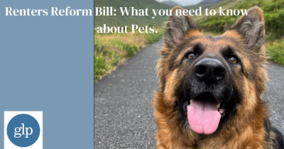 Understanding What the ‘Renters Reform Bill’ says in regards to Pets