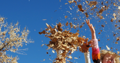 Spring Property Market Update: What Dulwich & Herne Hill Sellers Need to Know