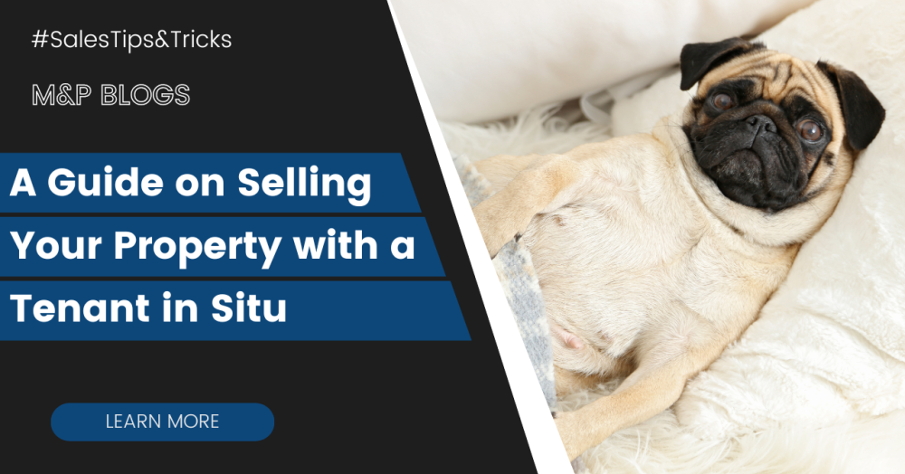 A Guide on Selling Your Property with a Tenant in Situ