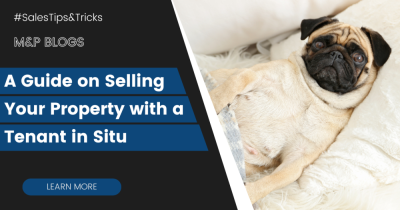 A Guide on Selling Your Property with a Tenant in Situ