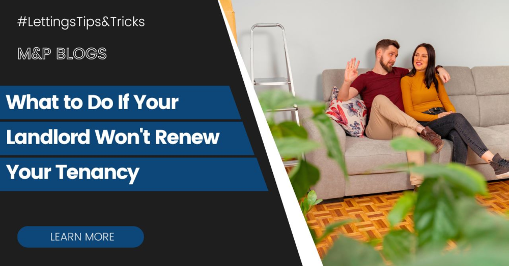 What to Do If Your Landlord Won't Renew Your Tenancy