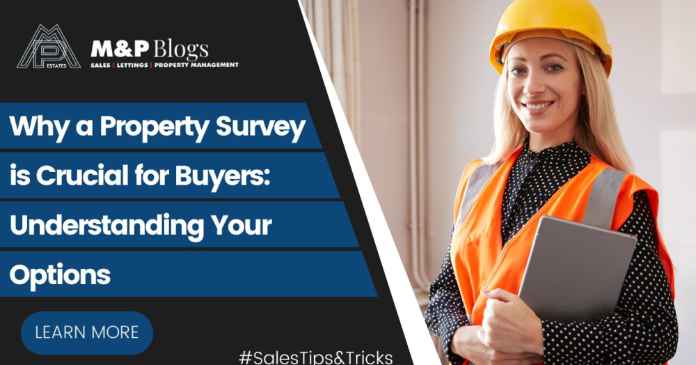 Why a Property Survey is Crucial for Buyers: Understanding Your Options
