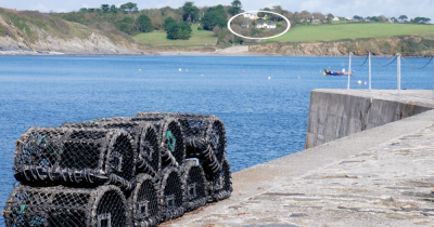 Sold by H Tiddy! Porthcurnick Lodge, Rosevine, Portscatho, Cornwall.