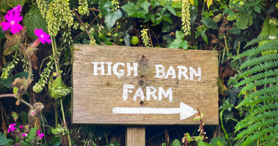A Cornish Countryside Home with Land. And a Summer Waiting.