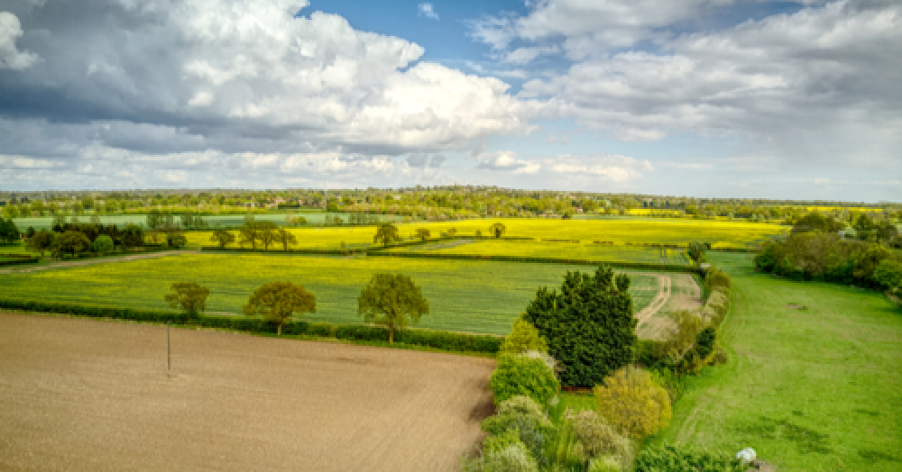 The best parts of Danbury – as loved by locals