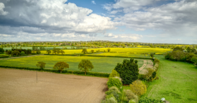 The best parts of Danbury – as loved by locals