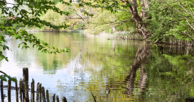 Moving from the city to village life