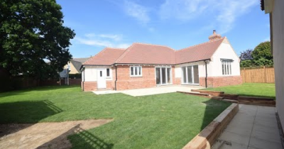 Video Viewing - Pine Trees,  Central Wickham Bishops