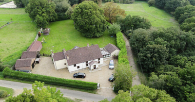 The Norfolk Agents - How can you save?