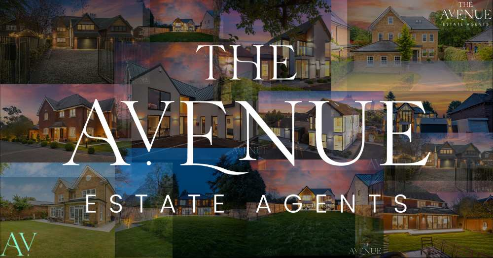 Behind the Scenes: One week in work experience