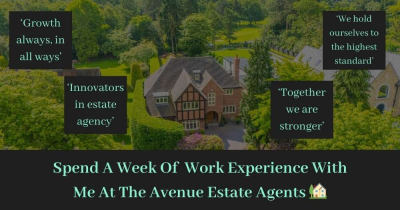 Spend A Week Of Work Experience At The Avenue Estate Agents With Me