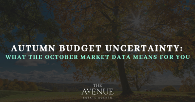 Autumn Budget Uncertainty: What the October Market Data Means for You