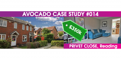 Avocado case  study of success #014