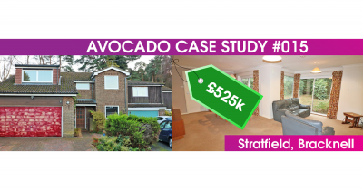 Avocado Case study of success #015