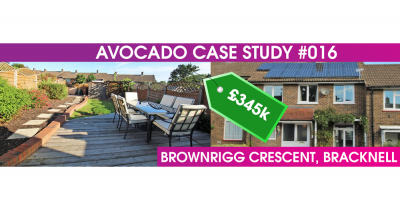 Avocado Case study of success #016