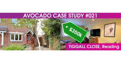 Avocado Case study of success #021