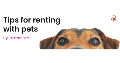 Tips for renting with pets