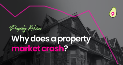 Why do housing markets crash?