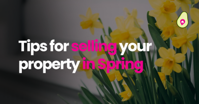 Tips for selling your property in Spring