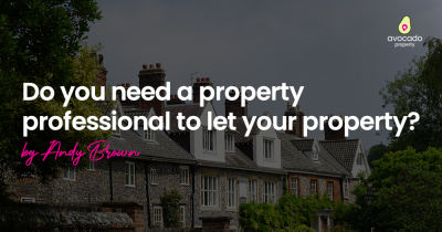 Do you need a property professional to let your property?