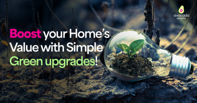 Boost Your Home's Value by 15% with Simple Green Upgrades!