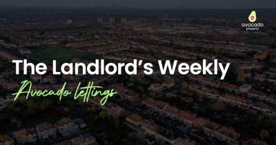 The Landlord's Weekly Newsletter