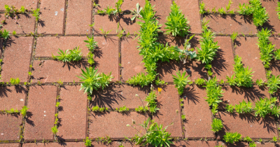 Are you selling your home ?  Don't overlook the importance of your garden!