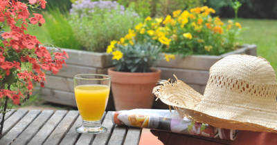 Transform your Summer Garden on a budget: Creative ideas and expert tips