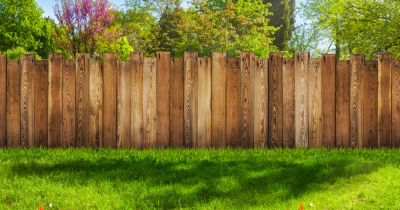 A guide to garden fence laws