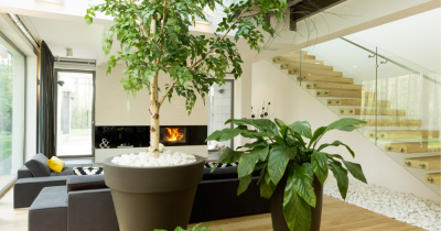 Is Bringing The Outdoors Indoors The Key To Selling Your Home?