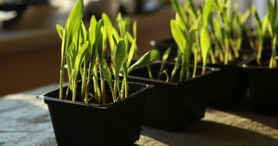 Make The Most Of Spring – It's The Selling Season!