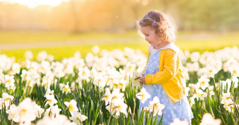 Spring into Action: Why Now is the Perfect Time to Book Your Property Valuation