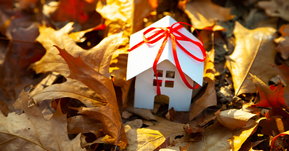 🍂 Autumn Property Market Update – A Note from Phillip Bishop