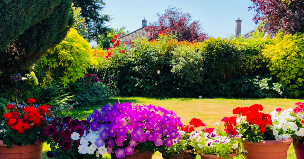 Does Your Home Have a South-Facing Garden?