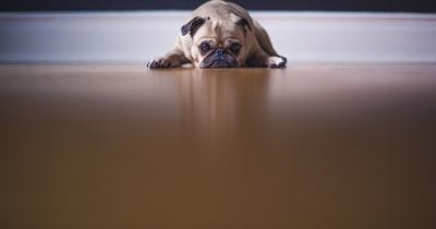 Three Ways Bedfordshire Landlords Can Beat Blue Monday