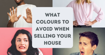 Would You Cover Your walls in Dead Salmon? The Great Paint Debate.