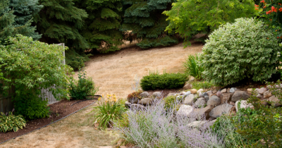 Keeping your garden lush for viewings in hot Summer