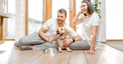 Tenants rights to have a pet.